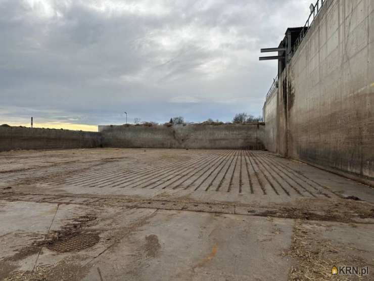 Lokal użytkowy  na sprzedaż, , Panoszów, ul. 