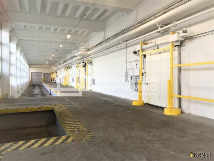 Gdańsk, Nowy Port, ul. , , Lokal użytkowy  do wynajęcia