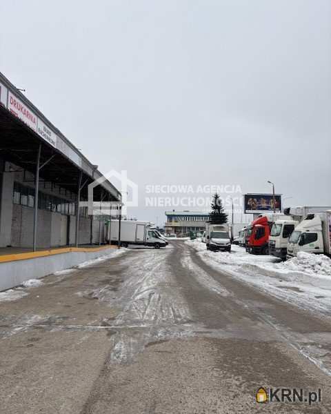 Gdynia, Chylonia, ul. , Lokal użytkowy  do wynajęcia, 