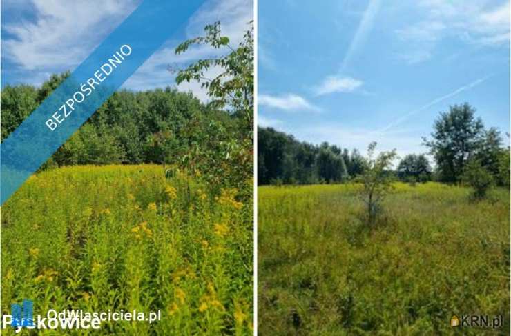 , Paczków, ul. , Lokal użytkowy  na sprzedaż