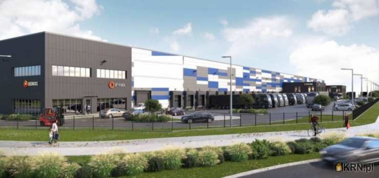 Lokal użytkowy  do wynajęcia, , Łódź, Widzew, ul. 