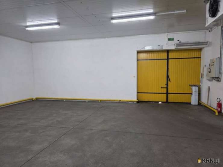 Lokal użytkowy  do wynajęcia, Kalisz, ul. , 