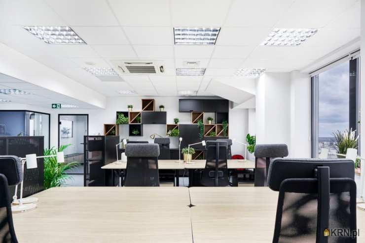 Katowice, ul. , Lokal użytkowy  do wynajęcia, 