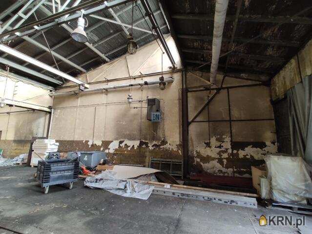 Lokal użytkowy  do wynajęcia, Gliwice, ul. , 1 pokojowe