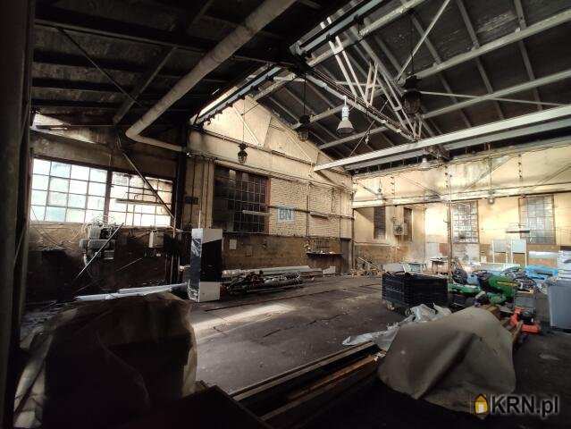 Lokal użytkowy  do wynajęcia, 1 pokojowe, Gliwice, ul. 