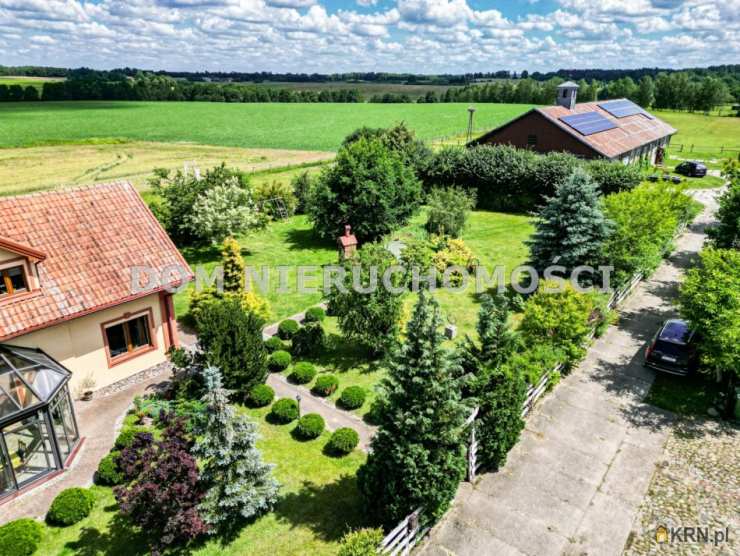 , Orneta, ul. , Lokal użytkowy  na sprzedaż