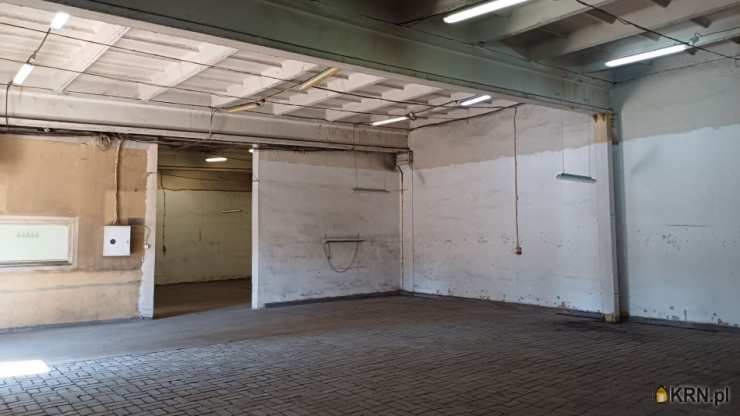 Poznań, Jeżyce, ul. Druskienicka, Lokal użytkowy  do wynajęcia, 
