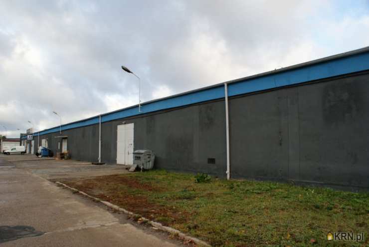 , Lokal użytkowy  do wynajęcia, Poznań, Jeżyce, ul. Druskienicka