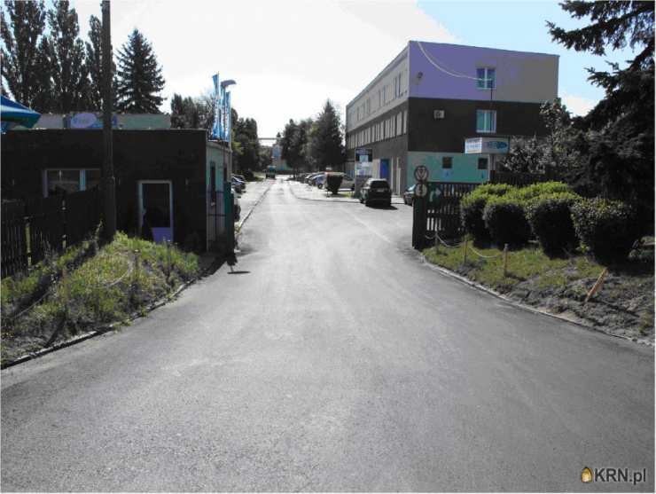 REAL ESTATE DEVELOPMENT COMPANY SPÓŁKA Z O.O. , Lokal użytkowy  do wynajęcia, Poznań, Jeżyce, ul. Druskienicka