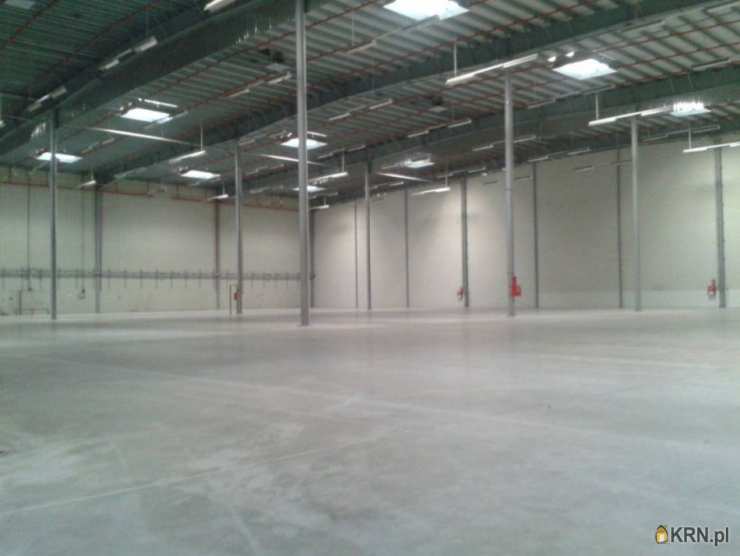 Lokal użytkowy  do wynajęcia, , Wolbórz, ul. 