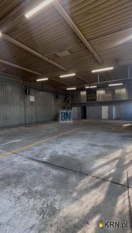 Lokal użytkowy  do wynajęcia, Katowice, ul. , 