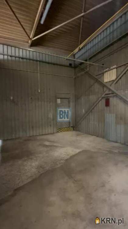 Katowice, ul. , Lokal użytkowy  do wynajęcia, 