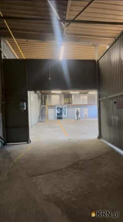 Katowice, ul. , , Lokal użytkowy  do wynajęcia