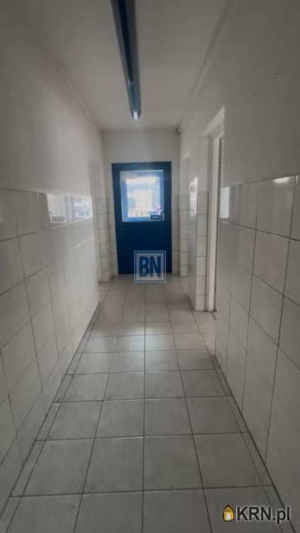 BN Nieruchomości, Lokal użytkowy  do wynajęcia, Katowice, ul. 