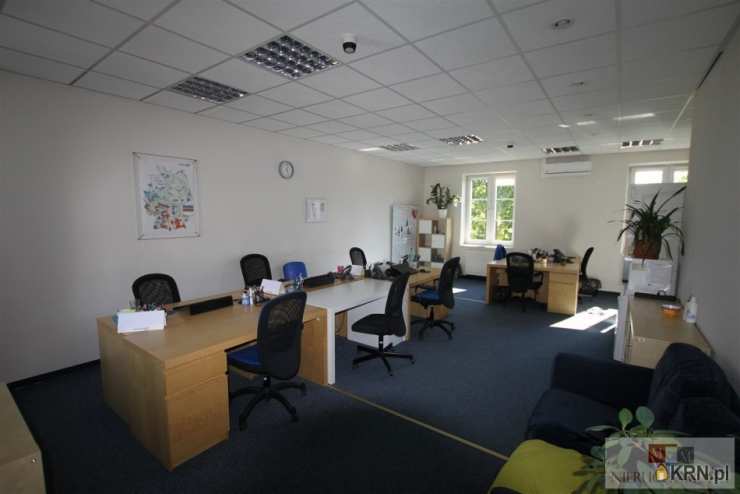 9 pokojowe, Lokal użytkowy  do wynajęcia, Opole, ul. 