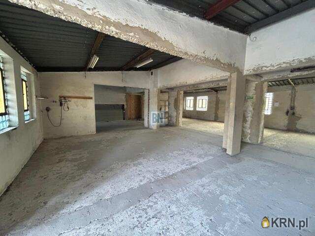 Zabrze, ul. , Lokal użytkowy  do wynajęcia, 