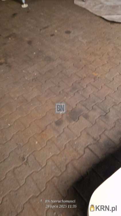 Żory, ul. , Lokal użytkowy  do wynajęcia, 