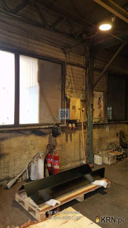 Żory, ul. , , Lokal użytkowy  do wynajęcia