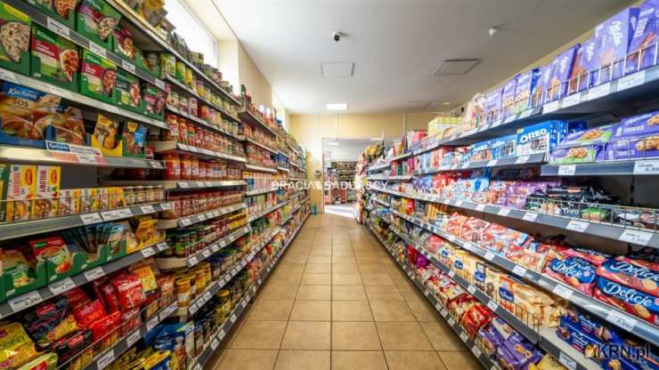 Kraków, Zwierzyniec/Bielany, ul. Księcia Józefa, Lokal użytkowy  do wynajęcia, 1 pokojowe