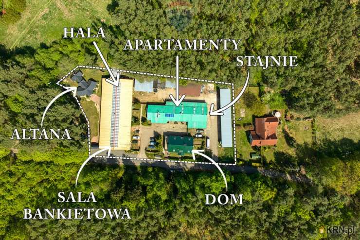 Zielona Góra, ul. , Lokal użytkowy  na sprzedaż, 17 pokojowe