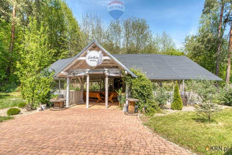 17 pokojowe, Lokal użytkowy  na sprzedaż, Zielona Góra, ul. 