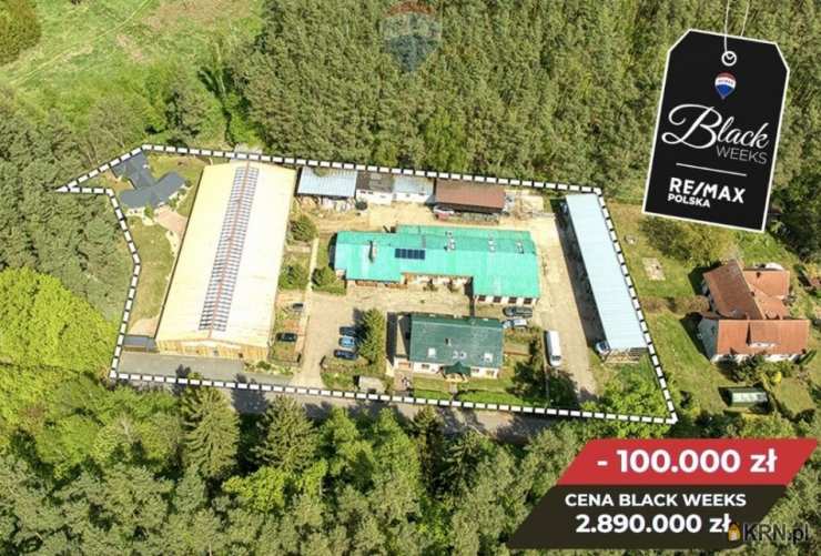 17 pokojowe, Zielona Góra, ul. , Lokal użytkowy  na sprzedaż