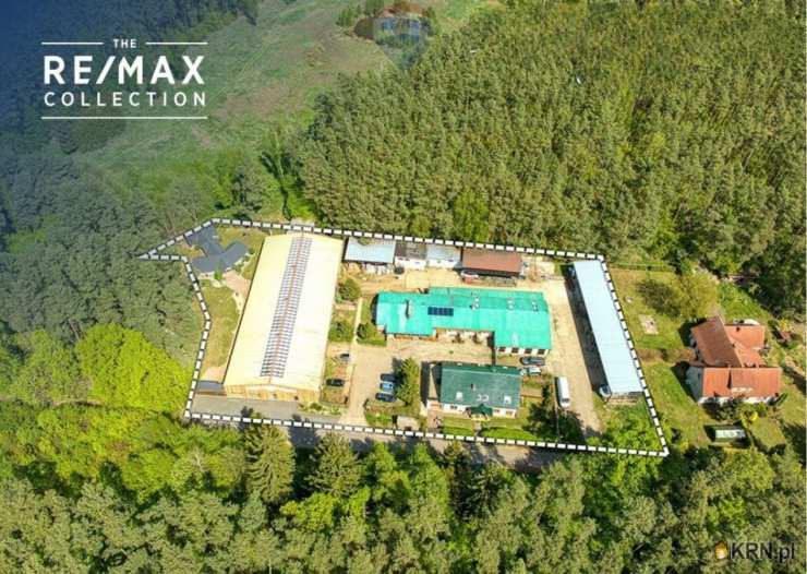 17 pokojowe, Zielona Góra, ul. , Lokal użytkowy  na sprzedaż