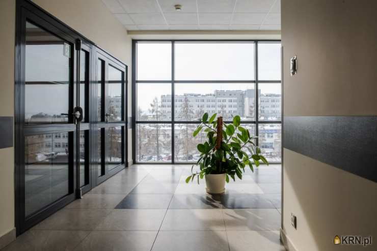 , Lokal użytkowy  do wynajęcia, Rzeszów, Wilkowyja, ul. 