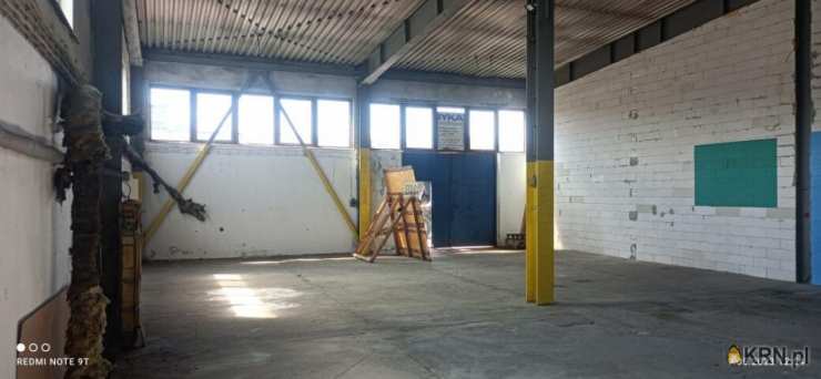 Lokal użytkowy  do wynajęcia, , Bytom, ul. 