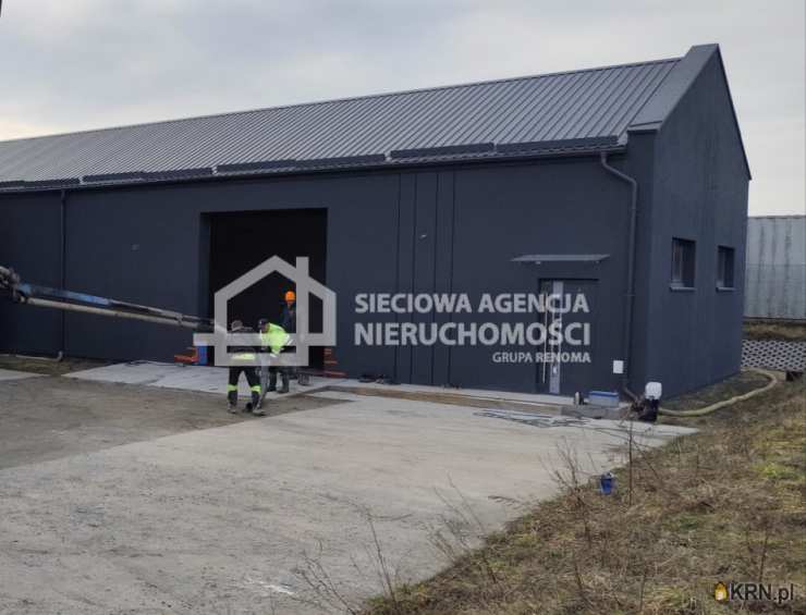 Dobrzewino, ul. , Lokal użytkowy  do wynajęcia, 