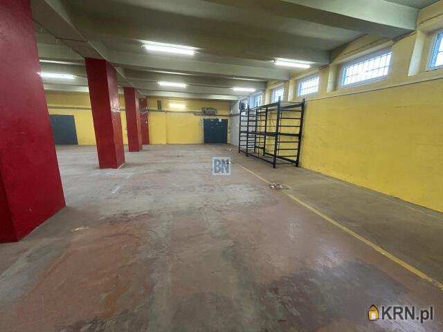 3 pokojowe, Lokal użytkowy  do wynajęcia, Gliwice, ul. 