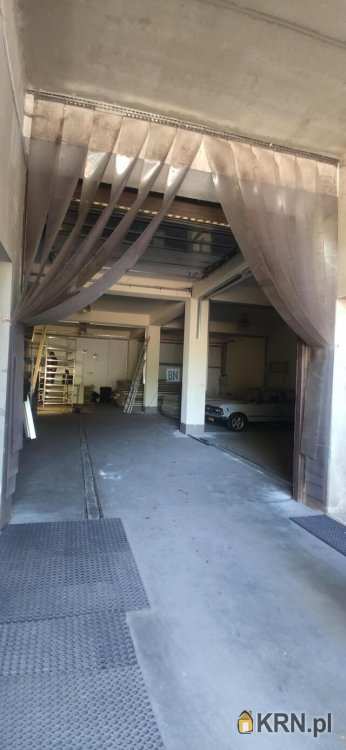 Lokal użytkowy  do wynajęcia, Jastrzębie-Zdrój, os. Jastrzębie Górne i Dolne/Jastrzębie Dolne, ul. , 3 pokojowe