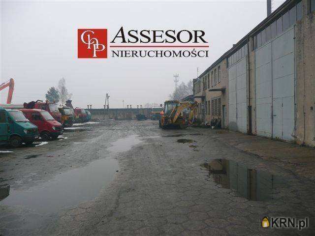 Assesor NIeruchomości, Lokal użytkowy  do wynajęcia, Kalisz, Winiary, ul. 