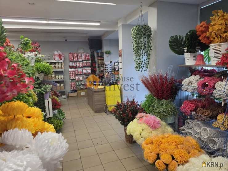 Ziębice, ul. , Lokal użytkowy  do wynajęcia, 