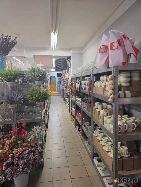 , Lokal użytkowy  do wynajęcia, Ziębice, ul. 