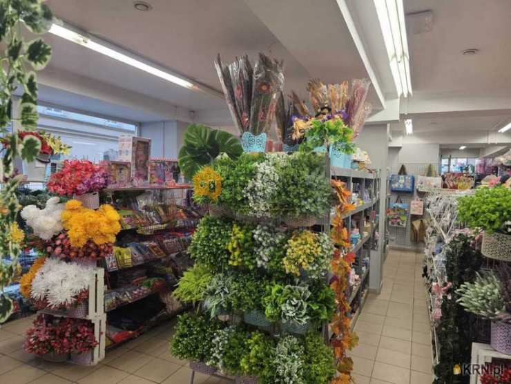 Ziębice, ul. , , Lokal użytkowy  na sprzedaż