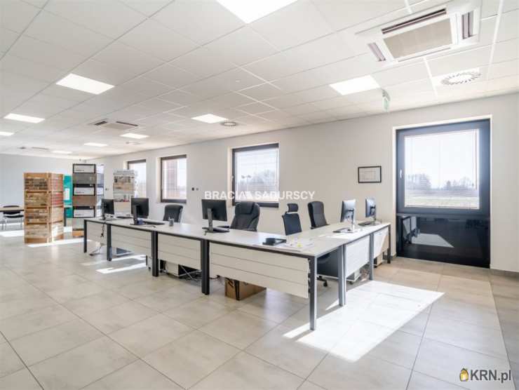 Targowisko, ul. , 8 pokojowe, Lokal użytkowy  do wynajęcia