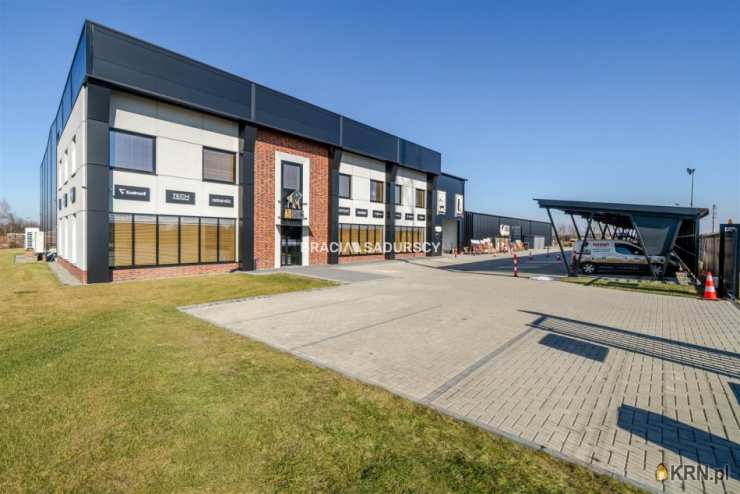 Bracia Sadurscy Oddział BS2 Rynek Pierwotny, Lokal użytkowy  do wynajęcia, Targowisko, ul. 