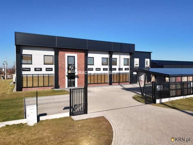 Lokal użytkowy  do wynajęcia, Targowisko, ul. , 8 pokojowe