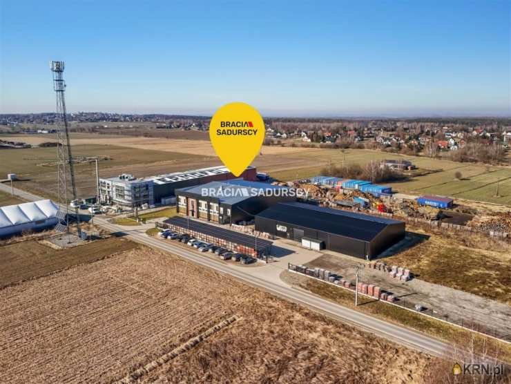 Lokal użytkowy  do wynajęcia, 8 pokojowe, Targowisko, ul. 