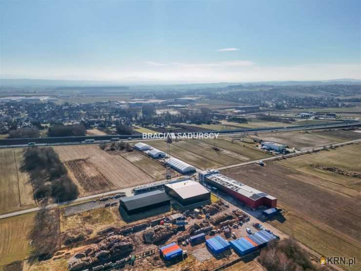 8 pokojowe, Lokal użytkowy  do wynajęcia, Targowisko, ul. 