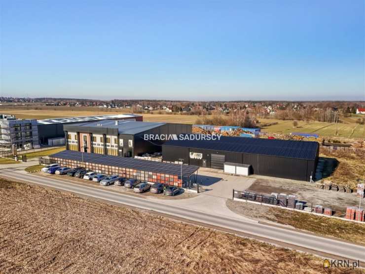 Bracia Sadurscy Oddział BS2 Rynek Pierwotny, Lokal użytkowy  do wynajęcia, Targowisko, ul. 