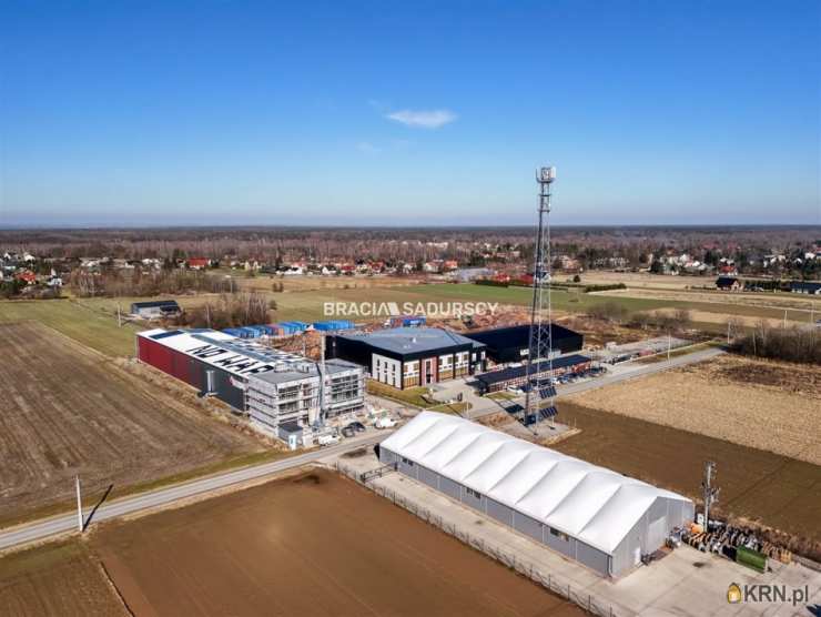 Targowisko, ul. , Lokal użytkowy  do wynajęcia, 8 pokojowe