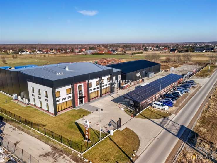 Lokal użytkowy  do wynajęcia, 8 pokojowe, Targowisko, ul. 