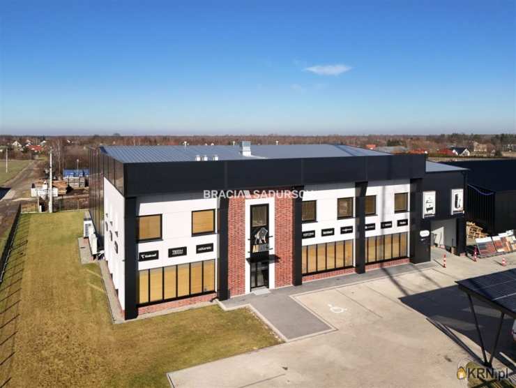 8 pokojowe, Lokal użytkowy  do wynajęcia, Targowisko, ul. 