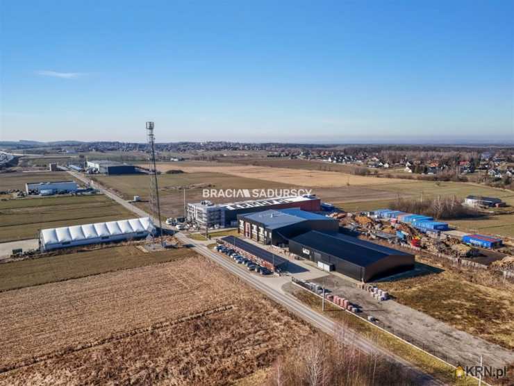 Targowisko, ul. , 8 pokojowe, Lokal użytkowy  do wynajęcia