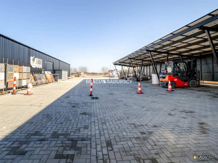 8 pokojowe, Targowisko, ul. , Lokal użytkowy  do wynajęcia