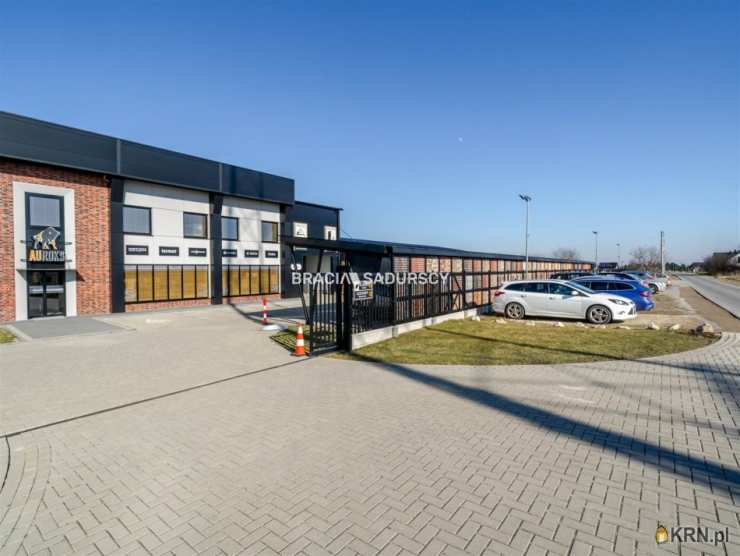 Lokal użytkowy  do wynajęcia, 8 pokojowe, Targowisko, ul. 