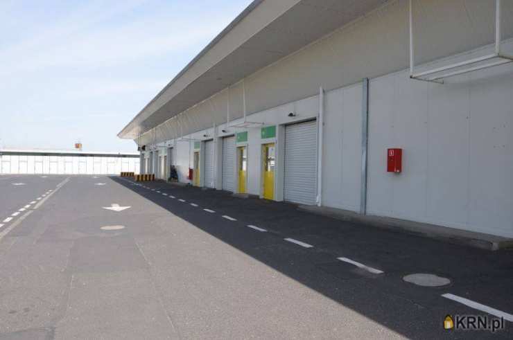 Poznań, Nowe Miasto, ul. , , Lokal użytkowy  do wynajęcia