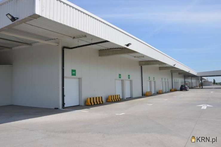 , Poznań, Nowe Miasto, ul. , Lokal użytkowy  do wynajęcia